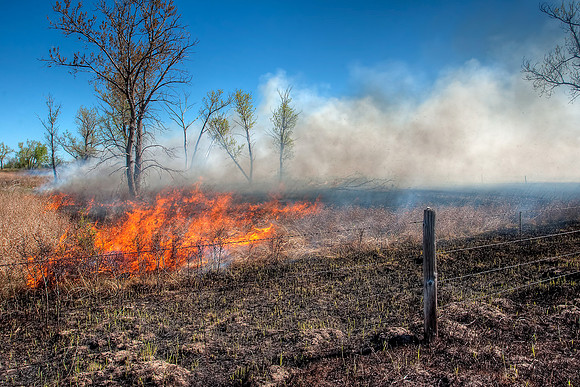 Prairie Burn 2