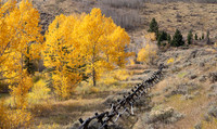 06 Gros Ventre River Valley
