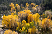 07 Gros Ventre River Valley