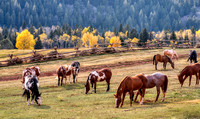 11 Red Hills Ranch
