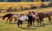 12 Red Hills Ranch