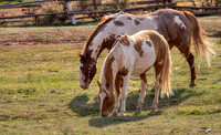 13 Red Hills Ranch