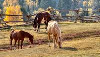 14 Red Hills Ranch