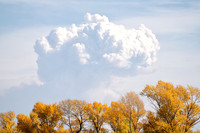20 Tetons - Smoke Week