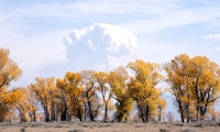 19 Tetons - Smoke Week