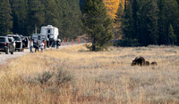 12 Grizzly 1063