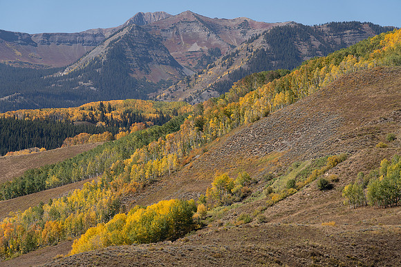 004 Crested Butte