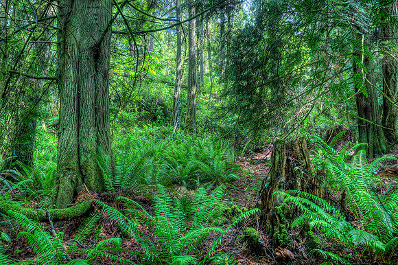 Ruckle Provincial Park 3