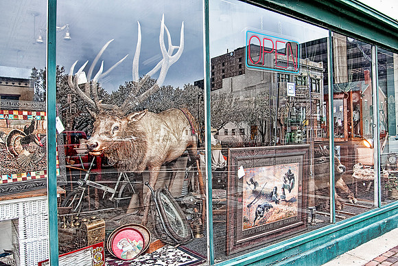 Bull In A China Shop