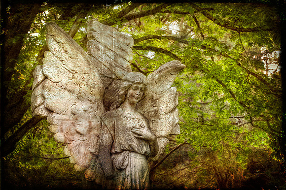 Ross Bay Cemetery C