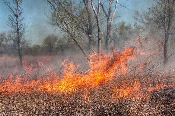 Prairie Burn 3