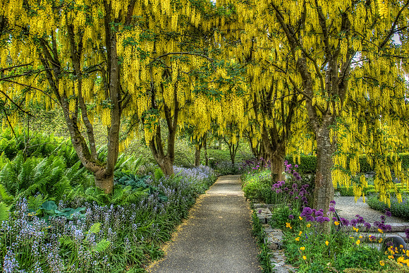 VanDusen Gardens, Vancouver 2