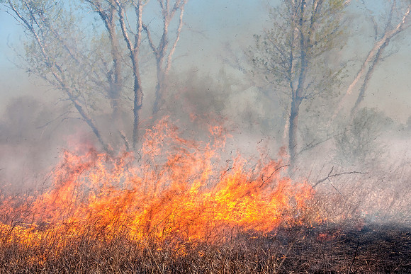 Prairie Burn 4